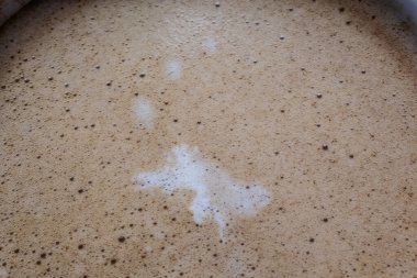 Düşünen topları olan timsah kahve köpüğündeki süt damlaları gibi yüzer.