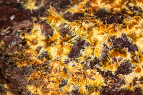 Mineralische Katzen Aus Der Grube Des Roten Rumpfs — Stockfoto
