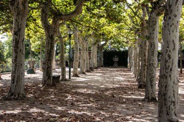 Darmstadt 'ta ağaçlarla kaplı bir park.