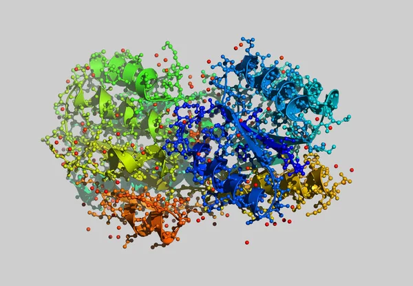 Atomları Olan Protein Moleküler Modeli — Stok fotoğraf