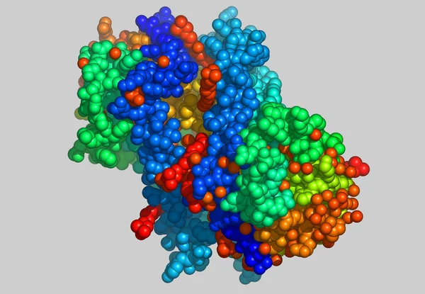 Modello Molecolare Proteico Con Atomi — Foto Stock