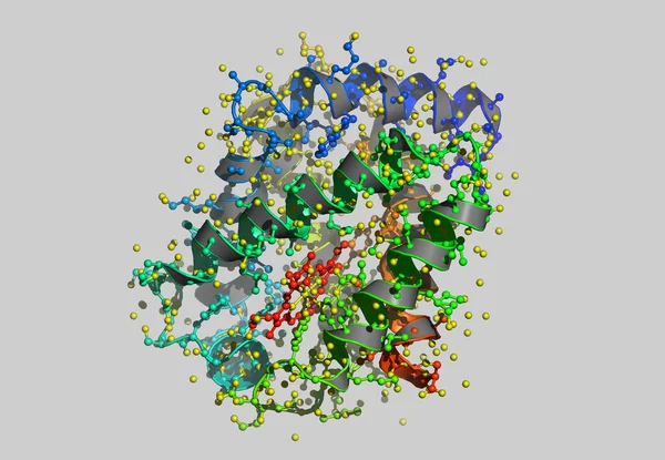 Atomları Olan Hemoglobin Moleküler Modeli — Stok fotoğraf
