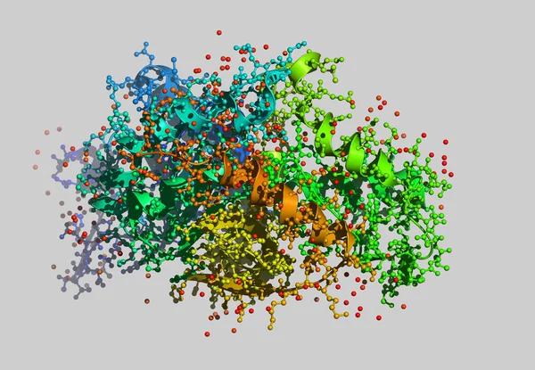 Atomları Olan Enzim Moleküler Modeli — Stok fotoğraf