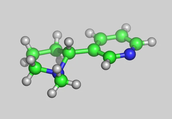 Atomları Olan Nikotin Moleküler Modeli — Stok fotoğraf