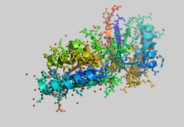 Atomları Olan Protein Moleküler Modeli — Stok fotoğraf