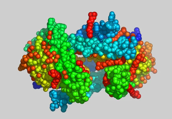 Atomları Olan Protein Moleküler Modeli — Stok fotoğraf