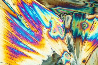 Mikroskopun altındaki kutuplaşmış ışıktaki Urea kristalleri 100 x