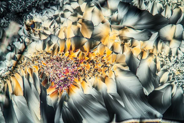 Krystaly Glutamátu Polarizovaném Světle Pod Mikroskopem 100X — Stock fotografie