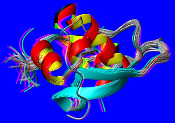Kurdele Calotte Modeli Olarak Proteinlerin Moleküler Modelleri — Stok fotoğraf