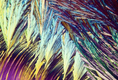 Yüksek büyütmede kutuplaşmış ışıktaki Urea kristalleri