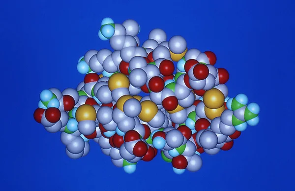 Molecular models of proteins as ribbons and calotte models