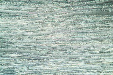 Kayın ağacı hücrelerinin uzunluğu 100 kat artar