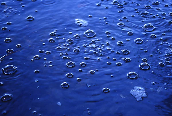 Лаахер Зее Береговая Зона Пузырями Метана — стоковое фото