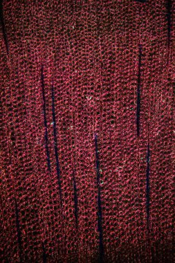 Mikroskop altında çam ağacı kesiti 100 x