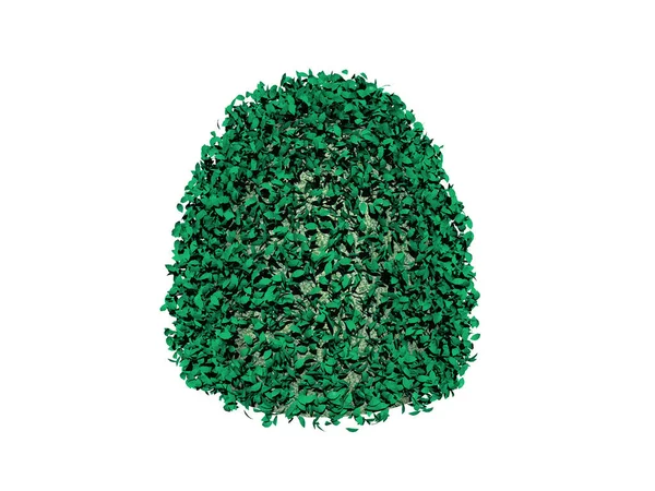 Green Box Hedge Cut Cones — Stock Photo, Image