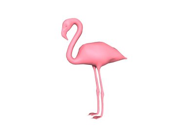 Uzun bacaklı pembe flamingo