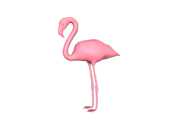 Flamingo Rosa Pernas Longas — Fotografia de Stock
