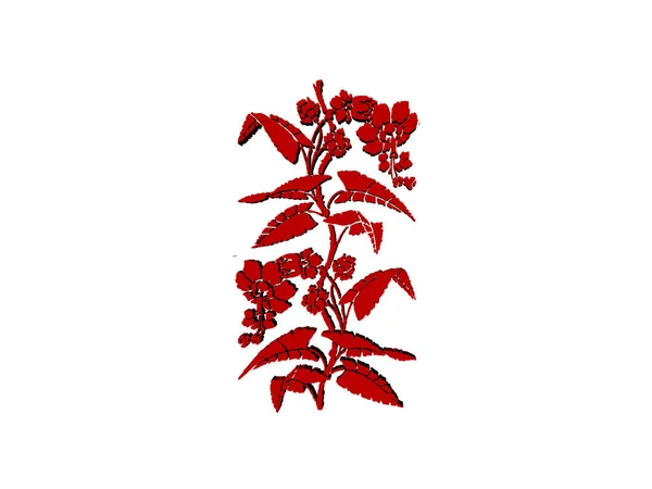 Vermelho Bonito Flores Cômicas — Fotografia de Stock