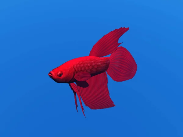 Rode Schuur Vis Het Water — Stockfoto