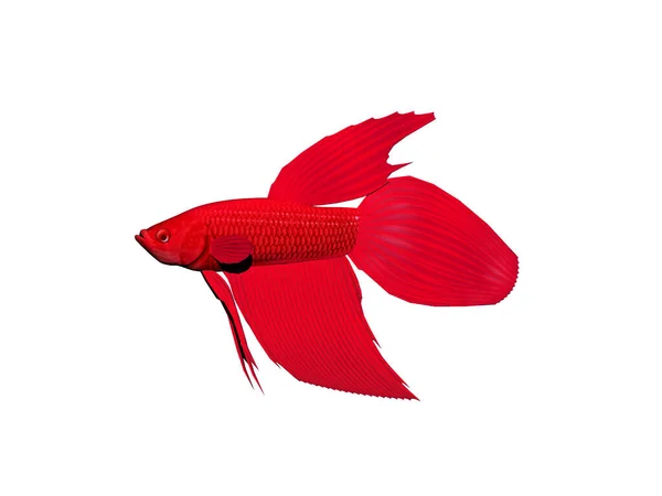 Red Barn Fish Water — Stock Photo, Image