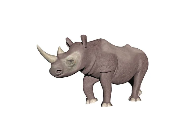 Тяжелый Африканский Носорог Степи — стоковое фото