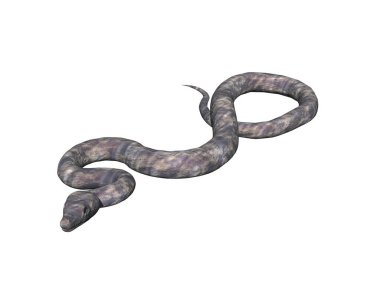 Yılan yeryüzünde kıvranıyor.