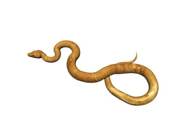 Yılan yeryüzünde kıvranıyor.