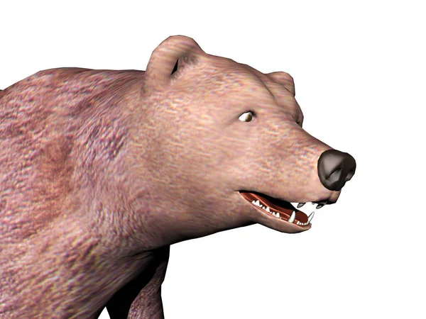 鋭い歯を持つ大きな茶色のクマは — ストック写真