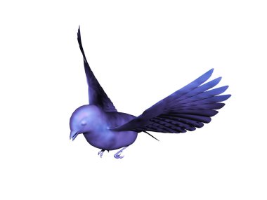 Gökyüzündeki kuşların uçuş çalışmaları