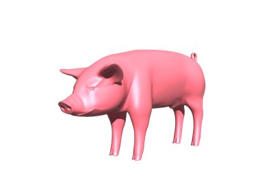 Pembe domuz etrafı kokluyor.