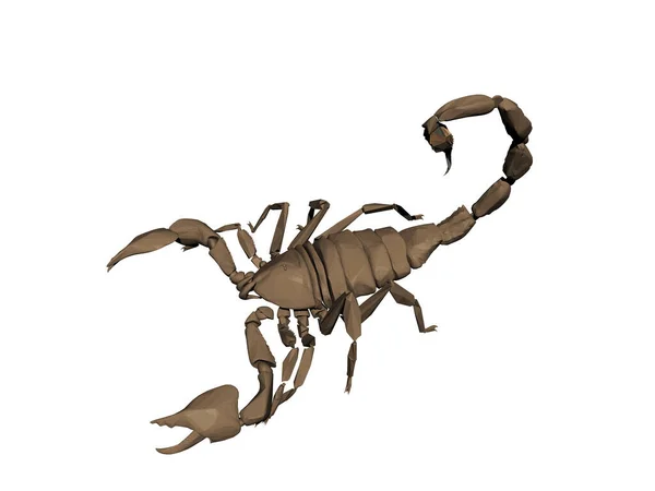 Brązowy Skorpion Szczypcami Jadowitym Żądłem — Zdjęcie stockowe