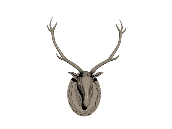 Deer Antlers Hang Wall — Stock Photo, Image