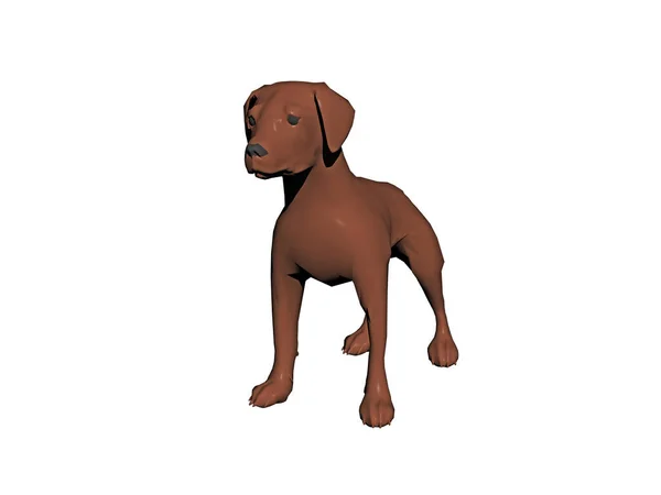 Pequeno Cão Marrom Posição Cuidadosa — Fotografia de Stock