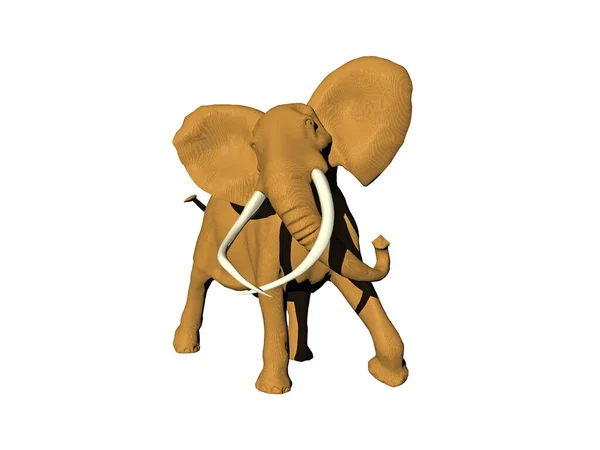Elefante Touro Com Longas Presas — Fotografia de Stock