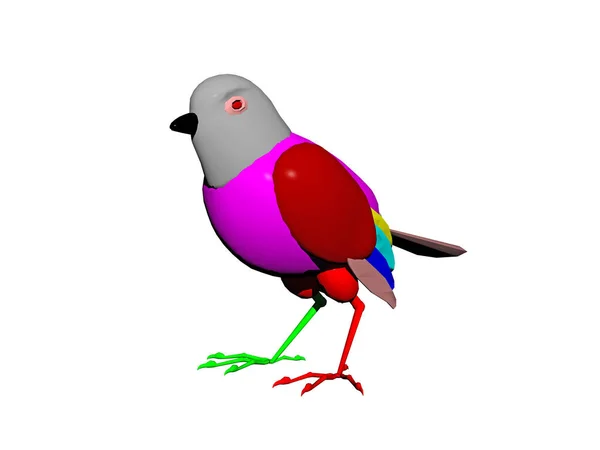 Nce Bacaklı Renkli Ötücü Kuş — Stok fotoğraf