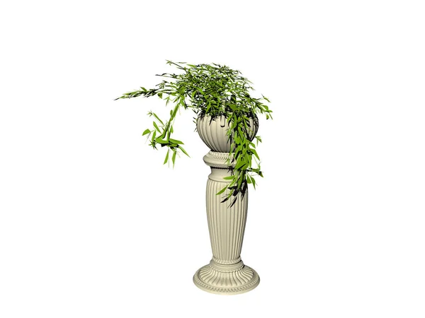 Antyczna Kolumna Miską Roślinną Zielonymi Roślinami — Zdjęcie stockowe