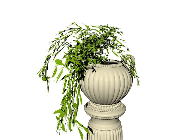 植物ボウルと緑の植物とアンティークコラム — ストック写真