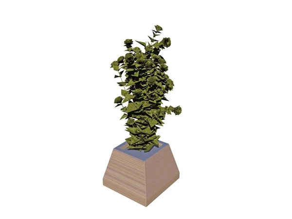 Hoekige Bloempot Met Groene Plant Trellis — Stockfoto
