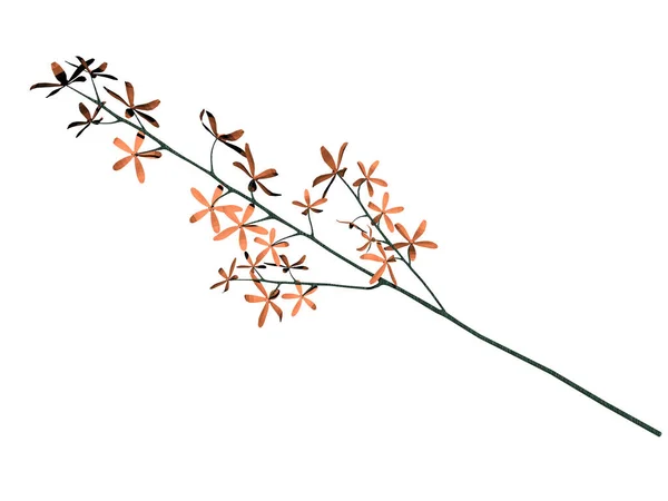 Bruine Aarden Bloemenvaas Met Snijbloemen — Stockfoto