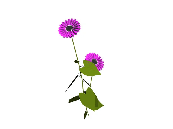 Wildkräuterstrauß Mit Bunten Blumen — Stockfoto