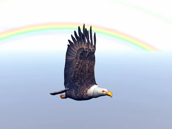 Águila Agraciada Con Alas Extendidas Cielo — Foto de Stock