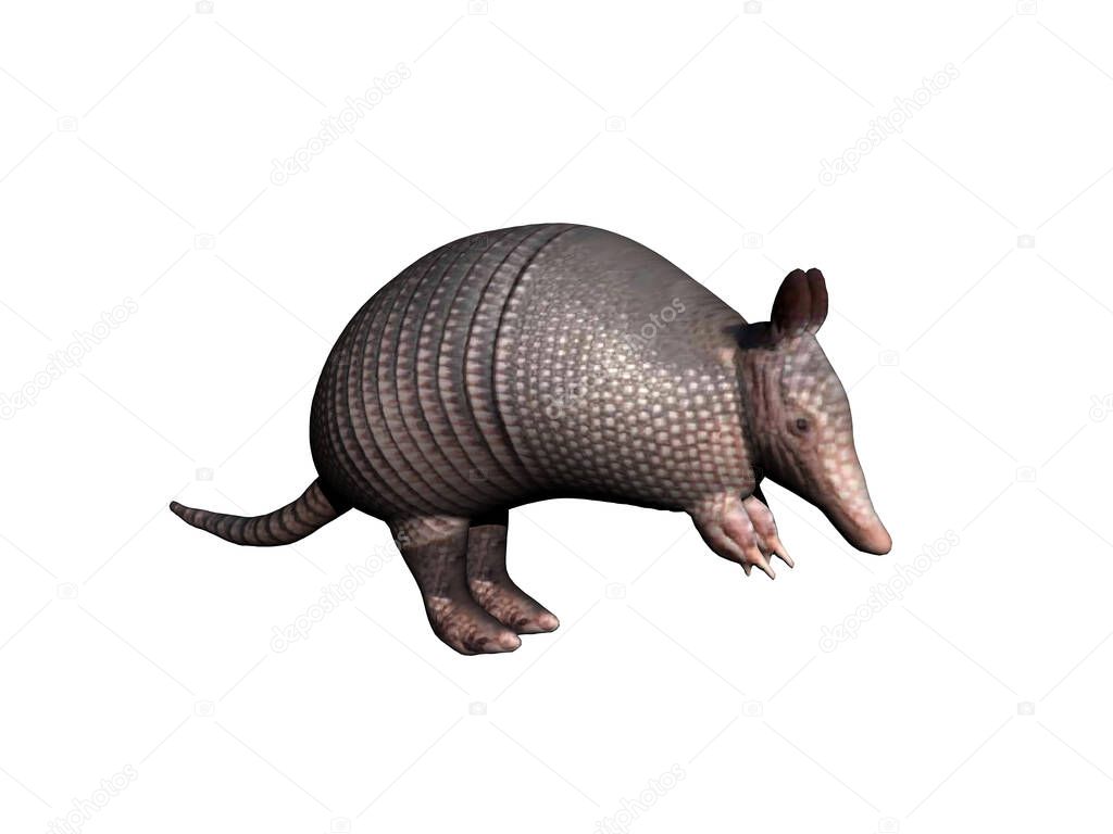 pangolins #hashtag