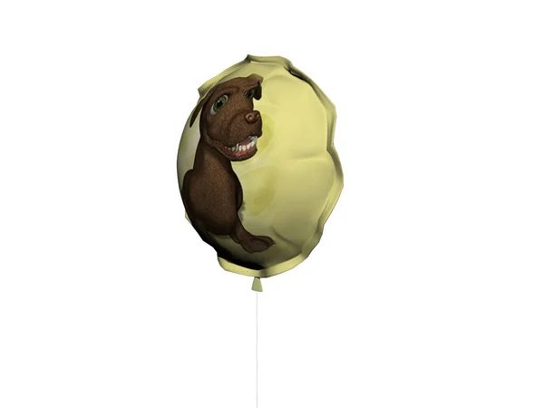 Żółty Balon Zdjęciem Brązowego Psa — Zdjęcie stockowe