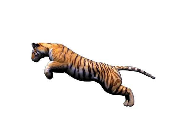 Large Graceful Striped Tiger Jumping — Stock Photo, Image