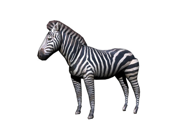 african zebra stands in the steppe