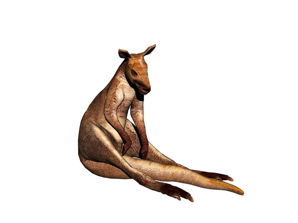 Australiano Canguru Lúpulo Corre Através Estepe — Fotografia de Stock