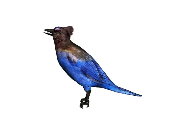 Songbird Está Procura Comida — Fotografia de Stock