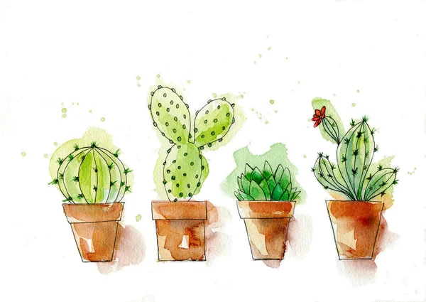 Illustrazione Acquerello Con Cactus Vasi Ceramica Dai Toni Delicati — Foto Stock