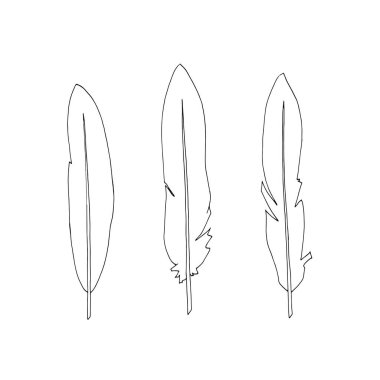 Tüy şablon vektör resimleme grafikleri