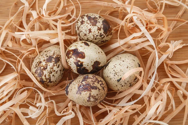 Raw organic Quail eggs in nest on wooden table